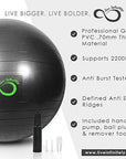 Extra Thick Professional Grade Balance & Stability Ball