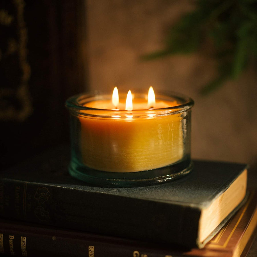 Bluecorn Botanica Beeswax Candle: 3-Wick Scented Candle Handmade with Pure Beeswax and Eucalyptus & Orange Essential Oils