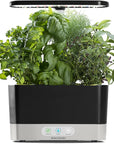 Hydroponic Indoor Garden, Black