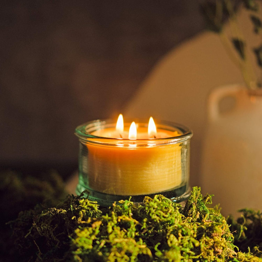 Bluecorn Botanica Beeswax Candle: 3-Wick Scented Candle Handmade with Pure Beeswax and Eucalyptus & Orange Essential Oils