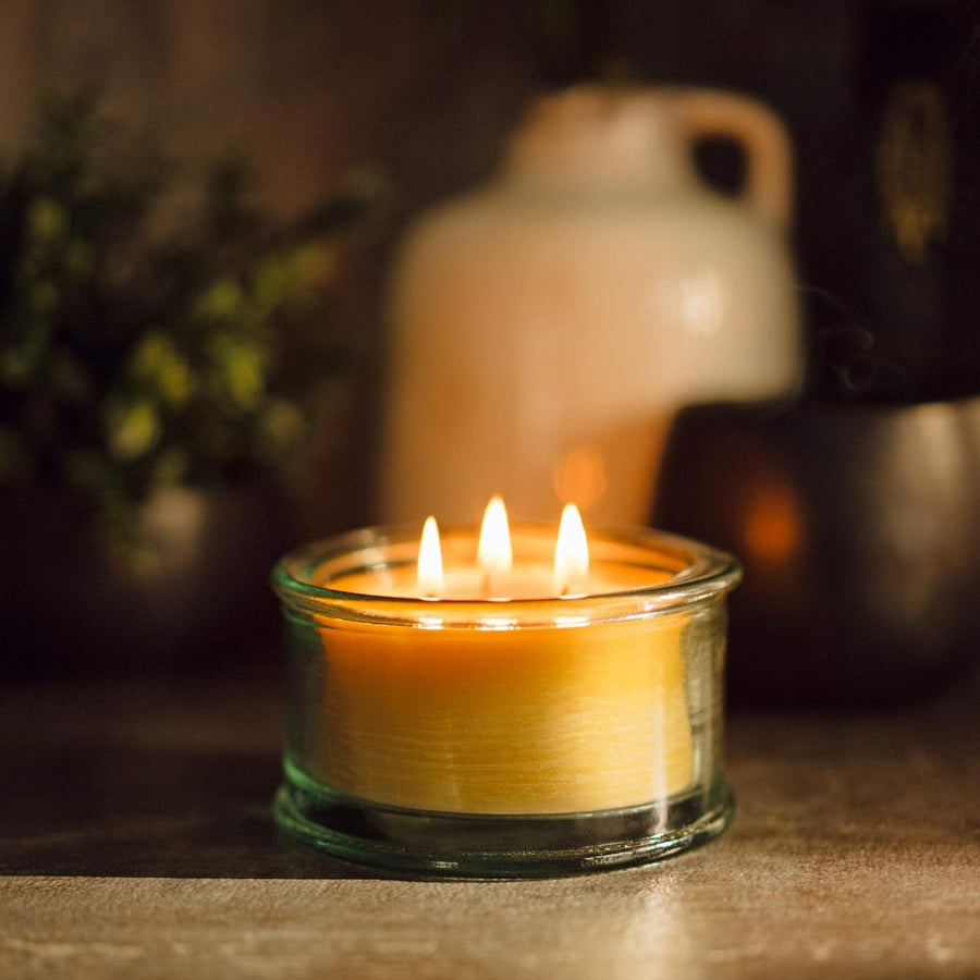 Bluecorn Botanica Beeswax Candle: 3-Wick Scented Candle Handmade with Pure Beeswax and Eucalyptus & Orange Essential Oils