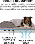 Luxury Berber & Suede Top Blanket Dog Bed - Gray, Jumbo/Xl