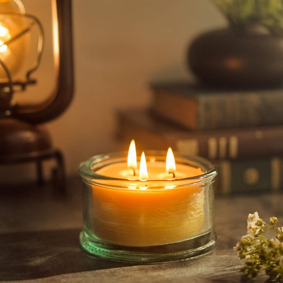 Bluecorn Botanica Beeswax Candle: 3-Wick Scented Candle Handmade with Pure Beeswax and Eucalyptus & Orange Essential Oils