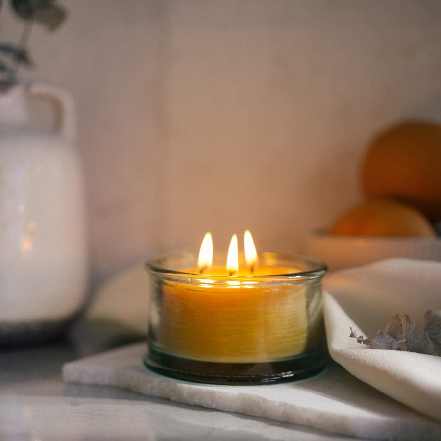 Bluecorn Botanica Beeswax Candle: 3-Wick Scented Candle Handmade with Pure Beeswax and Eucalyptus & Orange Essential Oils